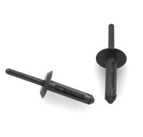 10 04212 Rivetto Plastica
6,5X31 T17