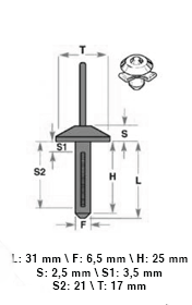10 04212 Rivetto Plastica
6,5X31 T17