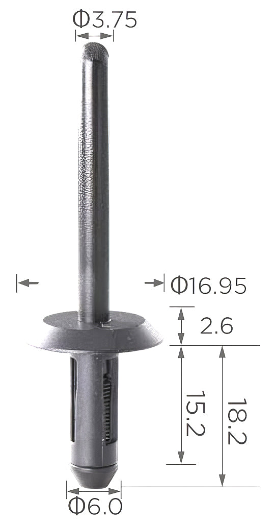 10 33712 Rivetto Plastica
6X18,3 T17